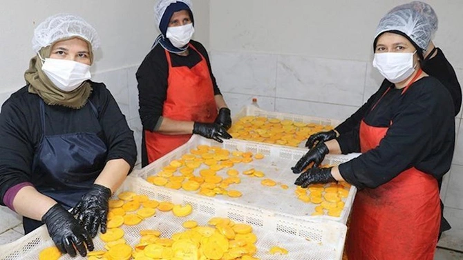 İşçidən sahibkarlığa: Xurmanın gücü ilə Kanada bazarına çıxdı — FOTO