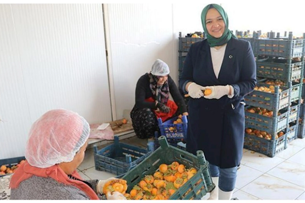 İşçidən sahibkarlığa: Xurmanın gücü ilə Kanada bazarına çıxdı — FOTO