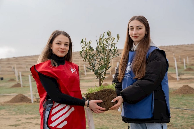 Ağacəkmə aksiyaları davam edir — FOTOLAR Ağacəkmə aksiyaları davam edir — FOTOLAR