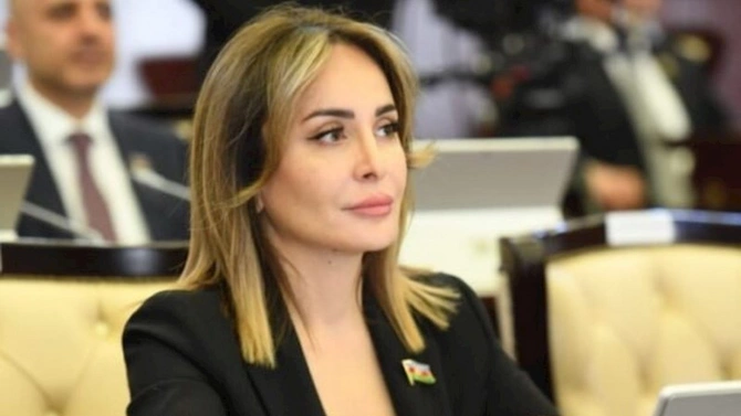 Dövlət qurumlarında yüksək vəzifələrdə çalışmış deputatlar — ADLAR