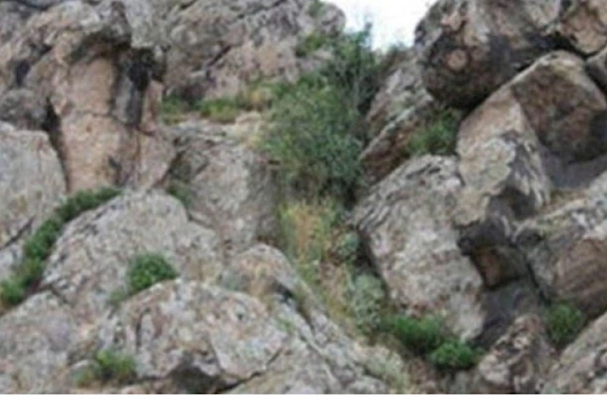 Kəlbəcərdə qayadan yıxılan gənc ÖLDÜ