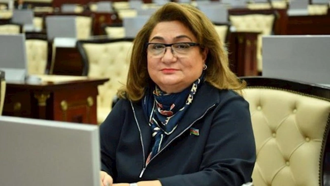 Dövlət qurumlarında yüksək vəzifələrdə çalışmış deputatlar — ADLAR