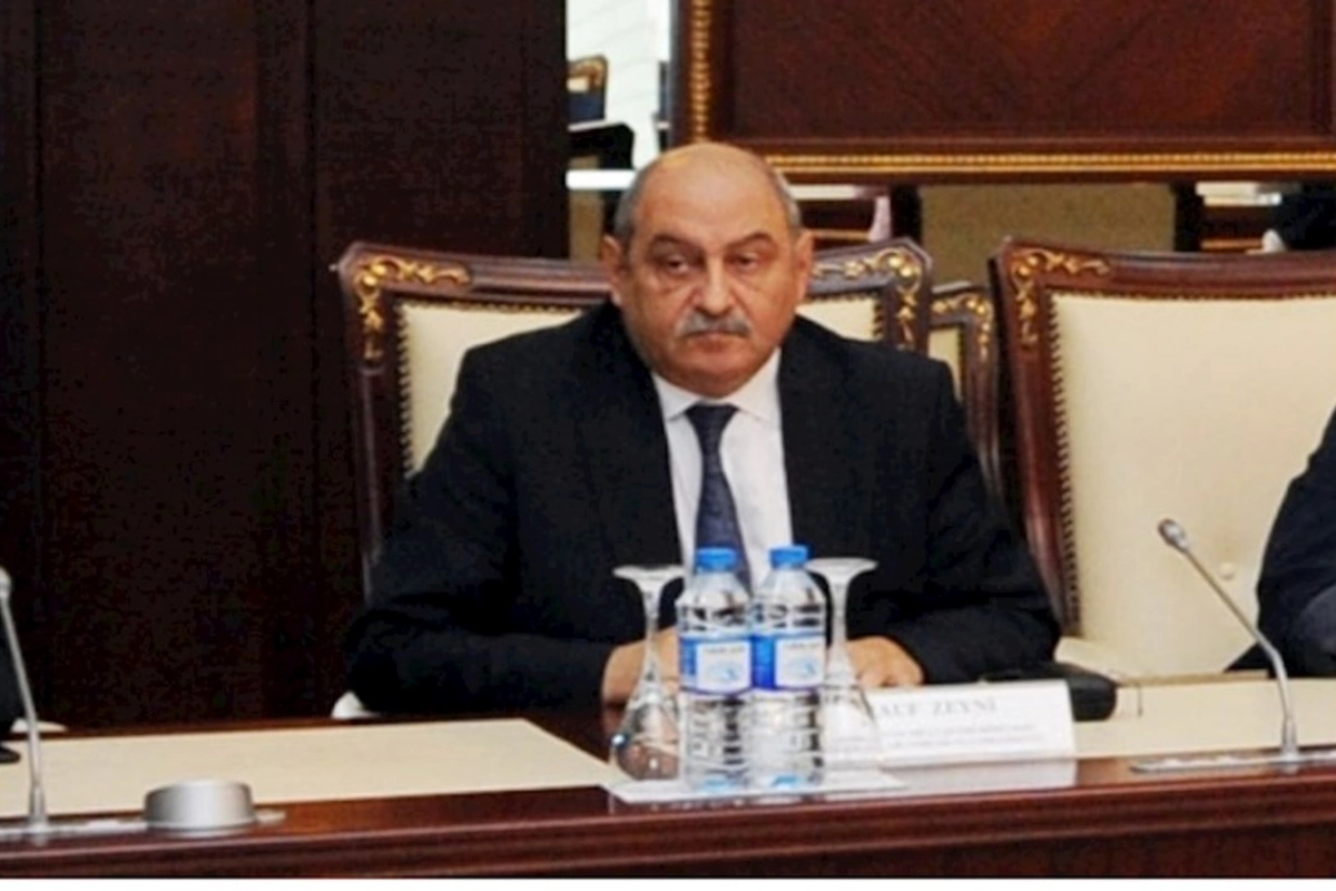 Azərbaycan QHT-lərinin də peşə bayramı günü təsis edilə bilər — Rauf Zeyni