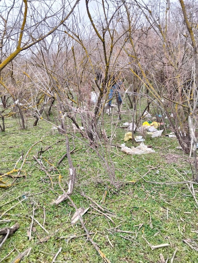 Kür çayı sahillərində geniş təmizlik aksiyası keçirildi— FOTOLAR Kür çayı sahillərində geniş təmizlik aksiyası keçirildi— FOTOLAR