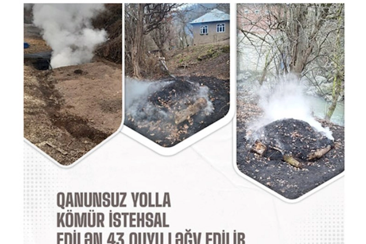 Qanunsuz kömür istehsal edən şəxslər cərimələndi