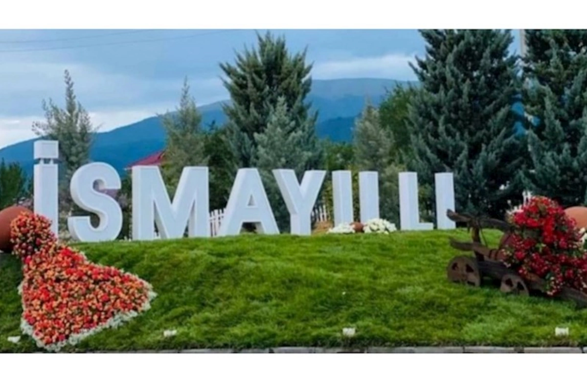 İsmayıllıda mal-qaranın tələf olmasına səbəb nədir? — VİDEO