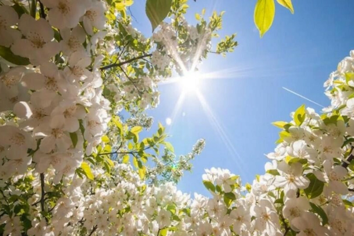 Sabah havanın temperaturu 27 dərəcəyədək yüksələcək