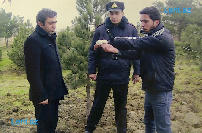 Küçədə cinsi əlaqədə olan avtobus sürücüsünü öldürdülər — Bakıda ŞOK CİNAYƏT Küçədə cinsi əlaqədə olan avtobus sürücüsünü öldürdülər — Bakıda ŞOK CİNAYƏT