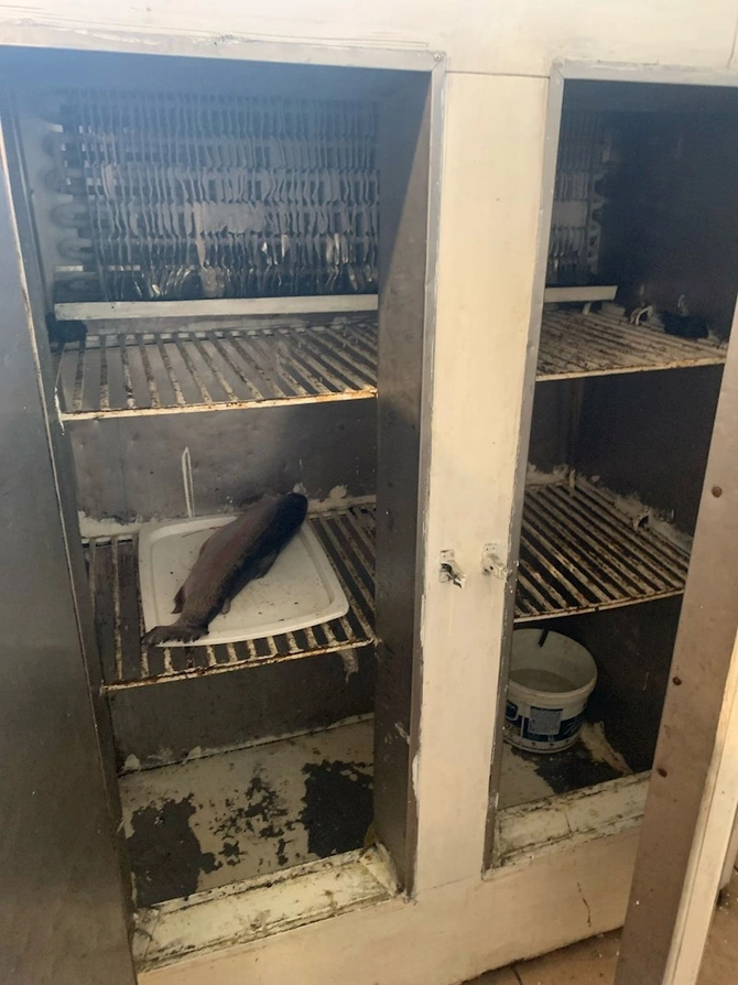 Bakıda bu şadlıq evində mənşəyi məlum olmayan məhsullar aşkarlandı — FOTOLAR Bakıda bu şadlıq evində mənşəyi məlum olmayan məhsullar aşkarlandı — FOTOLAR