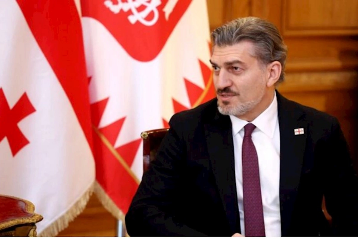 Ümumi gələcəyimizə iqtisadi cəhətdən güclü və firavan Cənubi Qafqaz regionu daxildir