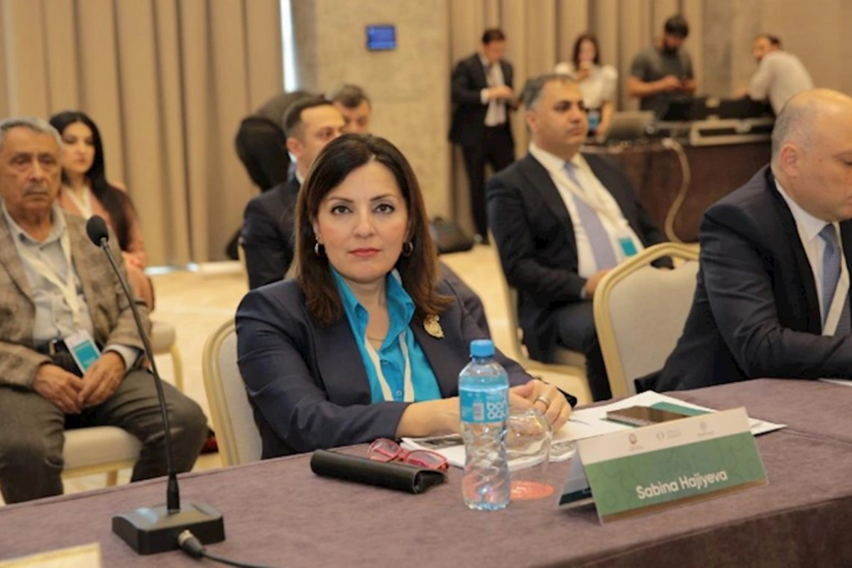 Səbinə Hacıyeva: Azıx mağarası silah anbarı kimi istifadə olunub