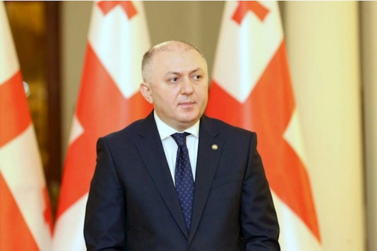 Gürcüstan DTX rəisi istefa verdi
