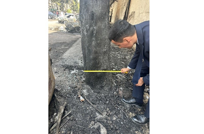 Binəqədidəki yanğında 5 ağaca ziyan dəyib — FOTO