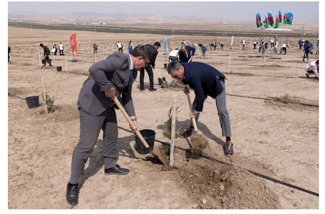 “Beynəlxalq Yer Günü” ilə əlaqədar ağacəkmə aksiyası keçirildi — FOTOLAR