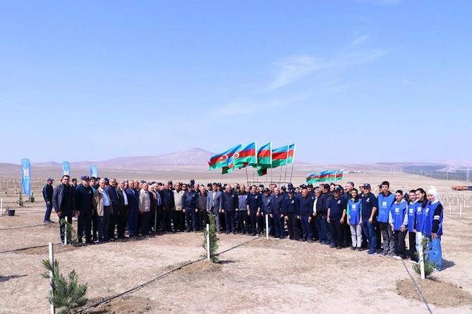 Müşfiqabad qəsəbəsində ağacəkmə aksiyası keçirilib — FOTOLAR Müşfiqabad qəsəbəsində ağacəkmə aksiyası keçirilib — FOTOLAR