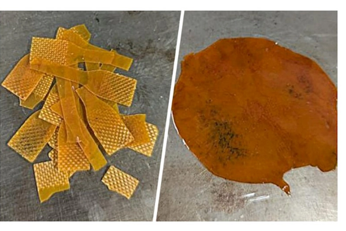 Alimlər neft təmizləmə tullantılarından təkrar emal edilə bilən plastik yaradıblar
