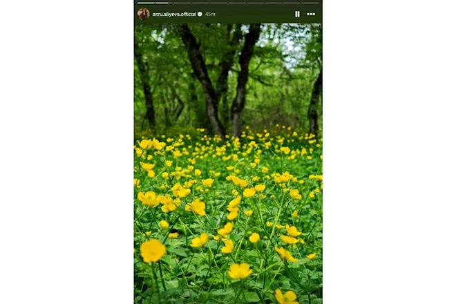 Arzu Əliyeva və Leyla Əliyeva Qəbələdə sakinlərlə görüşdülər — FOTOLAR Arzu Əliyeva və Leyla Əliyeva Qəbələdə sakinlərlə görüşdülər — FOTOLAR