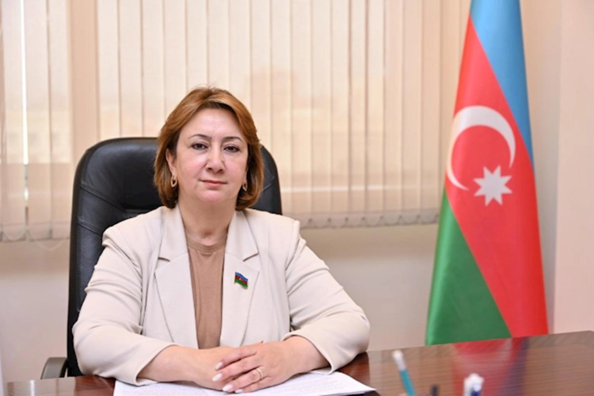 Potensiallı gənclər qəbuldan kənarda qala bilərlər — Deputat keçid ballarından danışdı