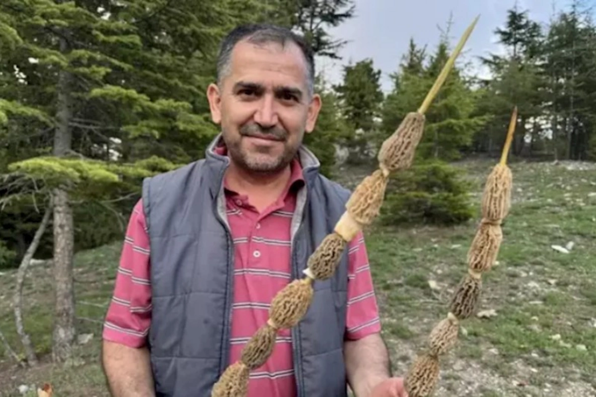 Kilosu 40 manata satılır — Bütün kənd bura axın edir