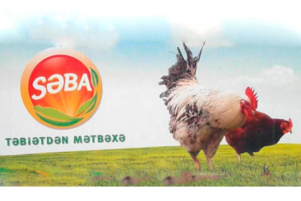 “Səba” külli miqdarda borc içində — Rəhbəri dəyişdi