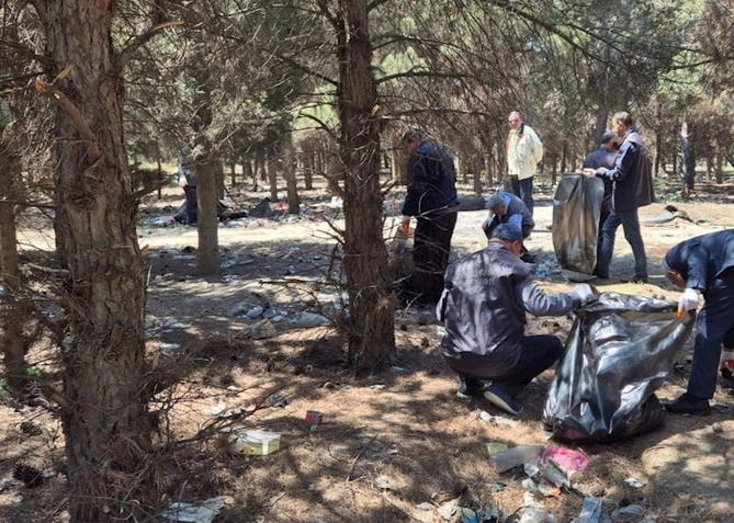 Məhv edilmiş yaşıllıq sahəsi bərpa olundu — FOTOLAR