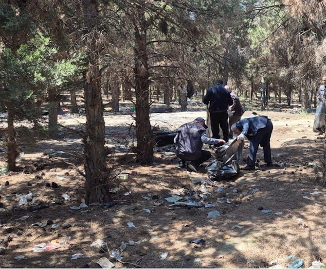 Məhv edilmiş yaşıllıq sahəsi bərpa olundu — FOTOLAR