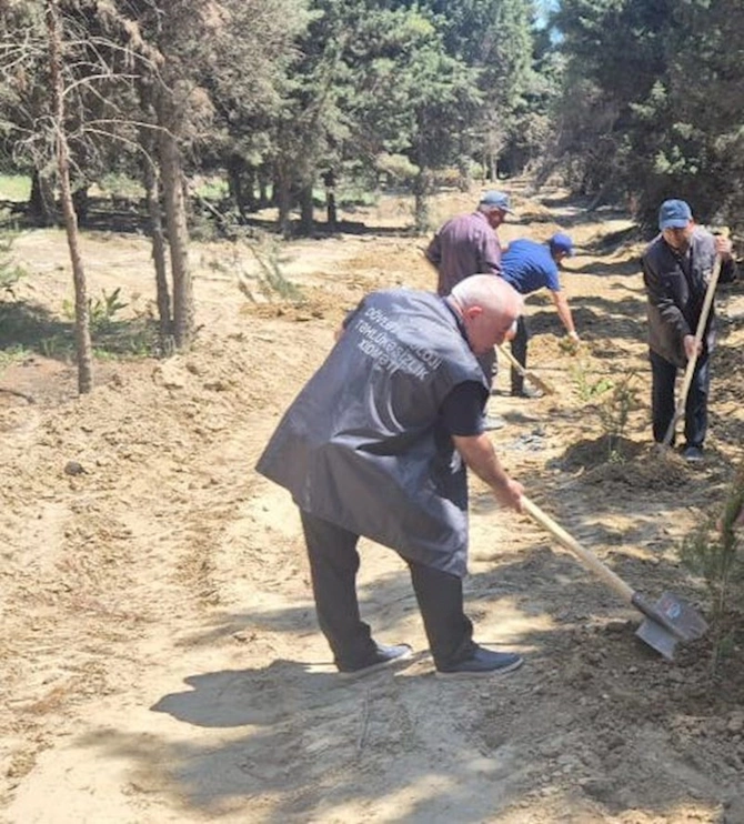 Məhv edilmiş yaşıllıq sahəsi bərpa olundu — FOTOLAR