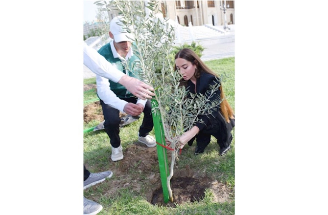 Leyla Əliyeva və Arzu Əliyeva ağacəkmə aksiyasında — FOTOLAR