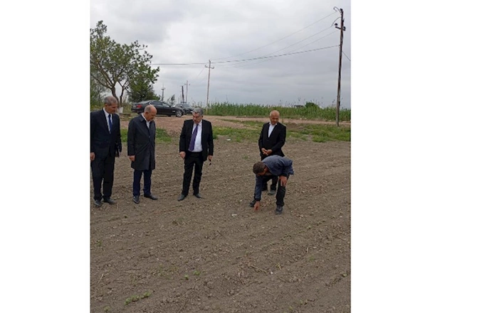 İcra Başçısı pambıq əkini sahələrinə baxış keçirdi — FOTOLAR İcra Başçısı pambıq əkini sahələrinə baxış keçirdi — FOTOLAR