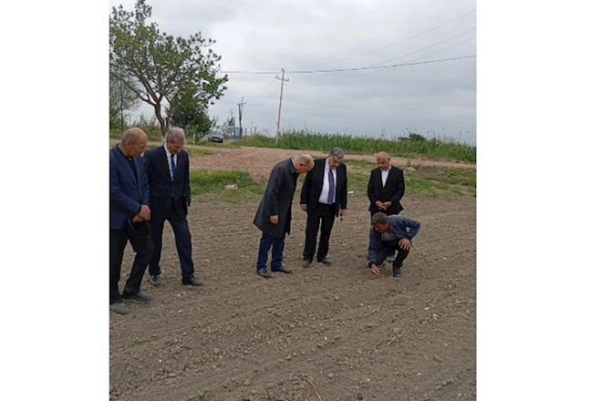 İcra Başçısı pambıq əkini sahələrinə baxış keçirdi — FOTOLAR İcra Başçısı pambıq əkini sahələrinə baxış keçirdi — FOTOLAR