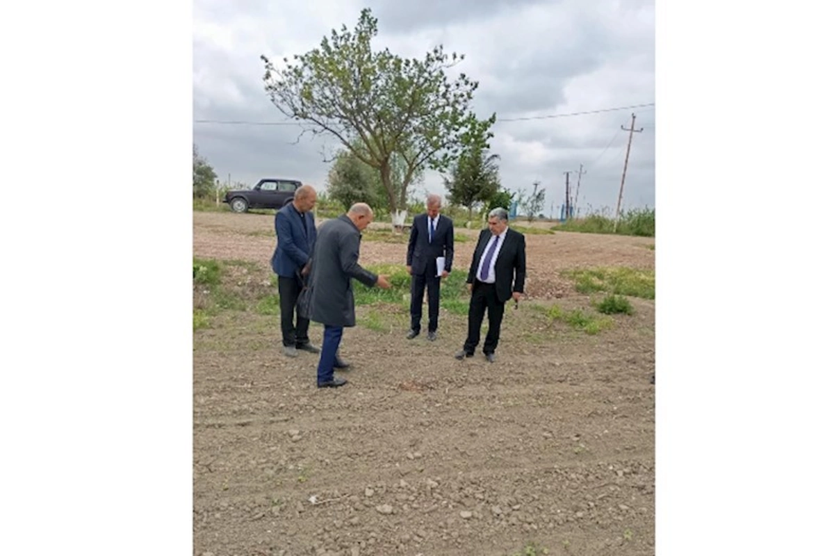 İcra Başçısı pambıq əkini sahələrinə baxış keçirdi — FOTOLAR