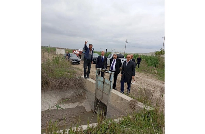 İcra Başçısı pambıq əkini sahələrinə baxış keçirdi — FOTOLAR İcra Başçısı pambıq əkini sahələrinə baxış keçirdi — FOTOLAR