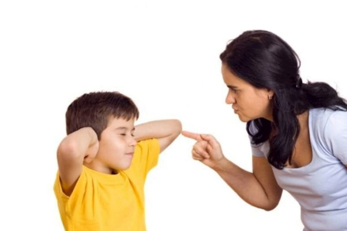 Təkcə qadağalarla problem həll olmur — Sosioloq