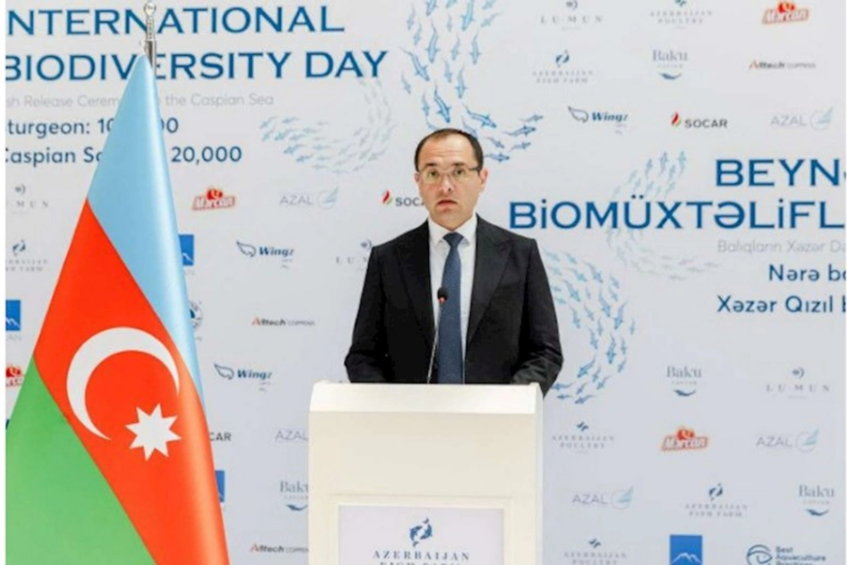 Azərbaycanlı nazir koronavirusdan sağaldı