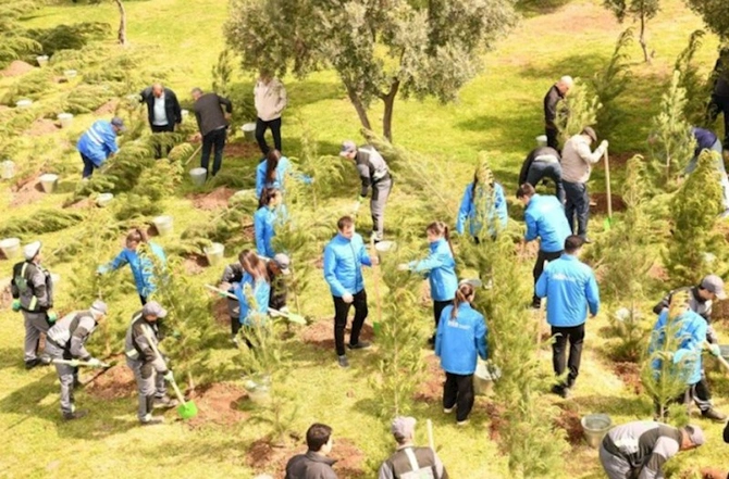 Paytaxtda keçirilən növbəti ağacəkmə aksiyası — FOTOLAR