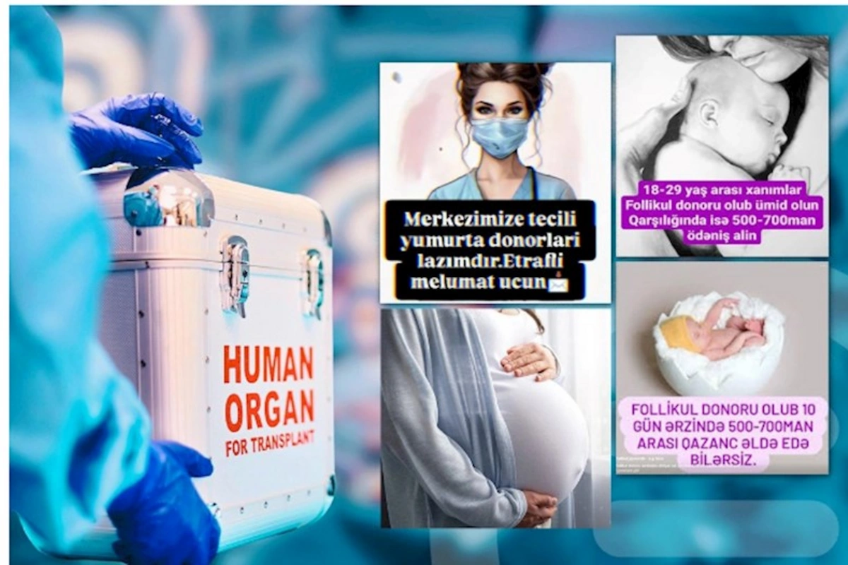 700 manat qarşılığında donorluq təklifi: Qadınlar həyatlarını riskə atırlar