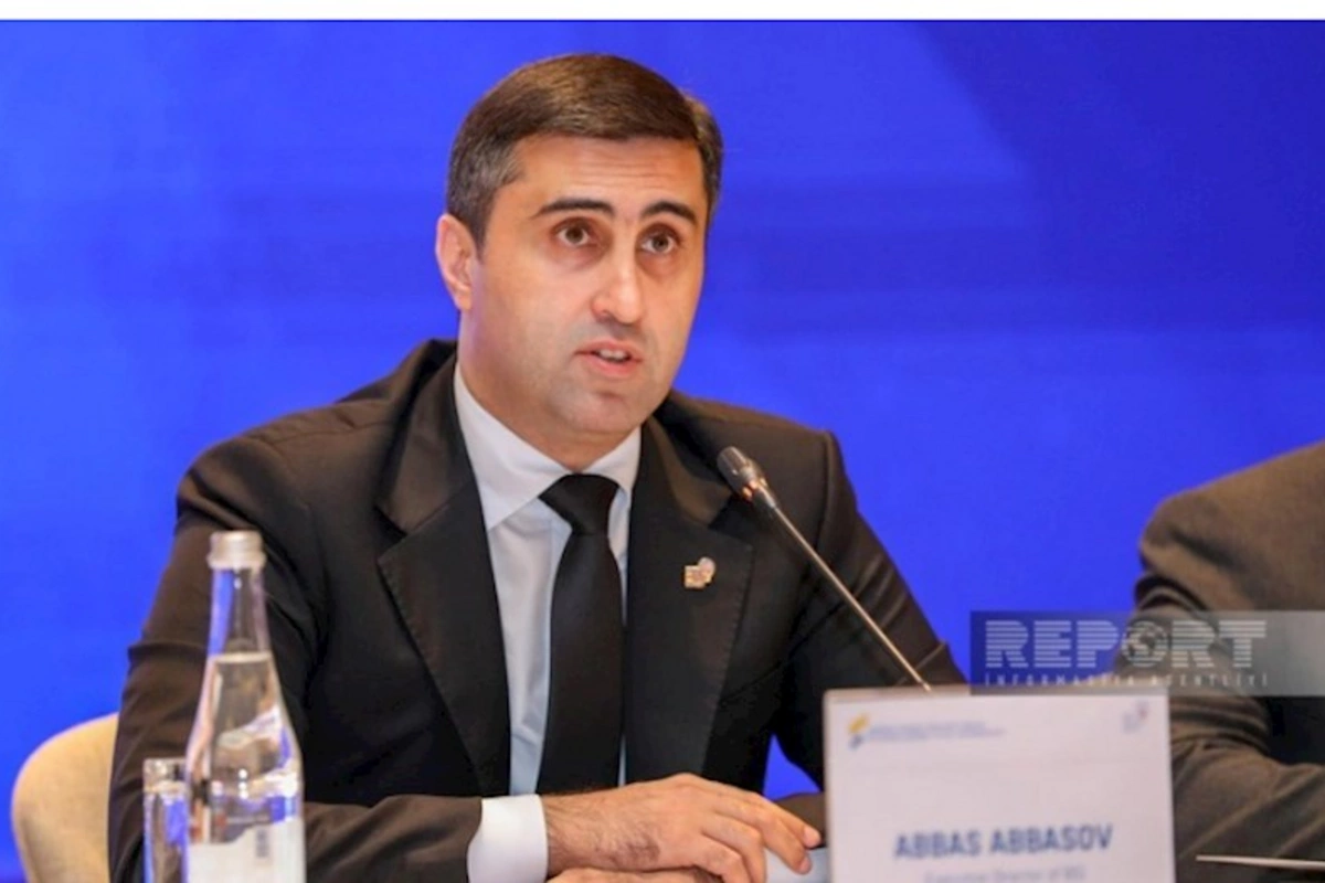 BMT-nin Afrika əsilli Şəxslərin Daimi Forumunun rəsmi internet səhifəsində BTQ icraçı direktorunun çıxışı yerləşdirilib — FOTOLAR