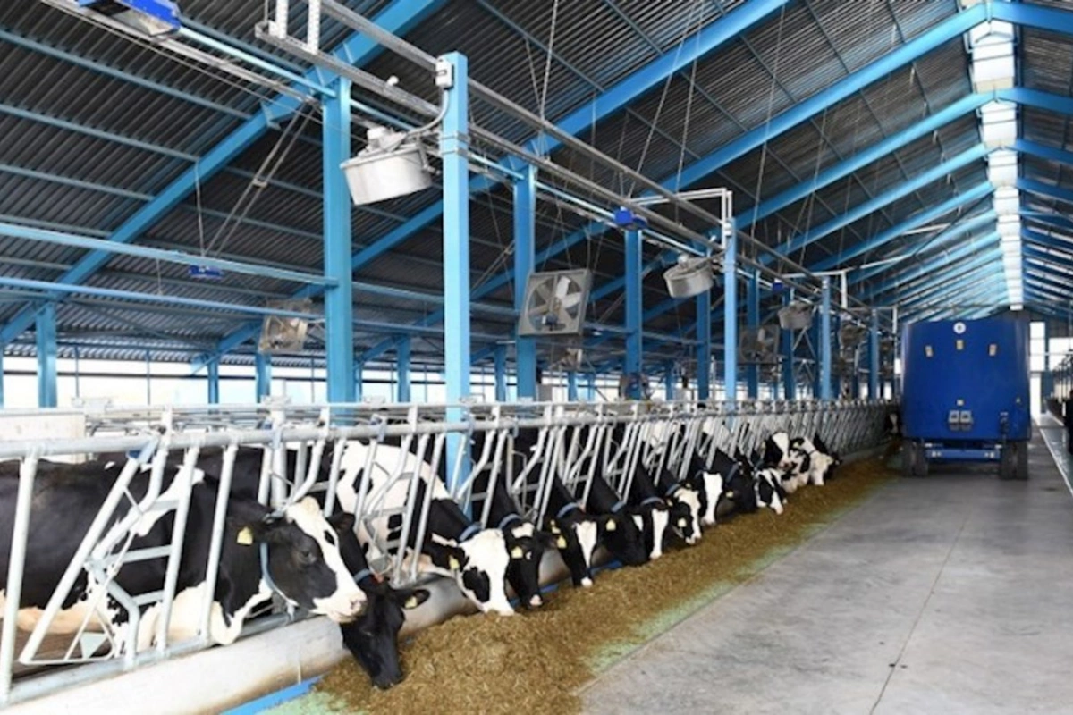“Qoç Ət”in Xanabad kəndindəki heyvandarlıq kompleksinin açılışı olub