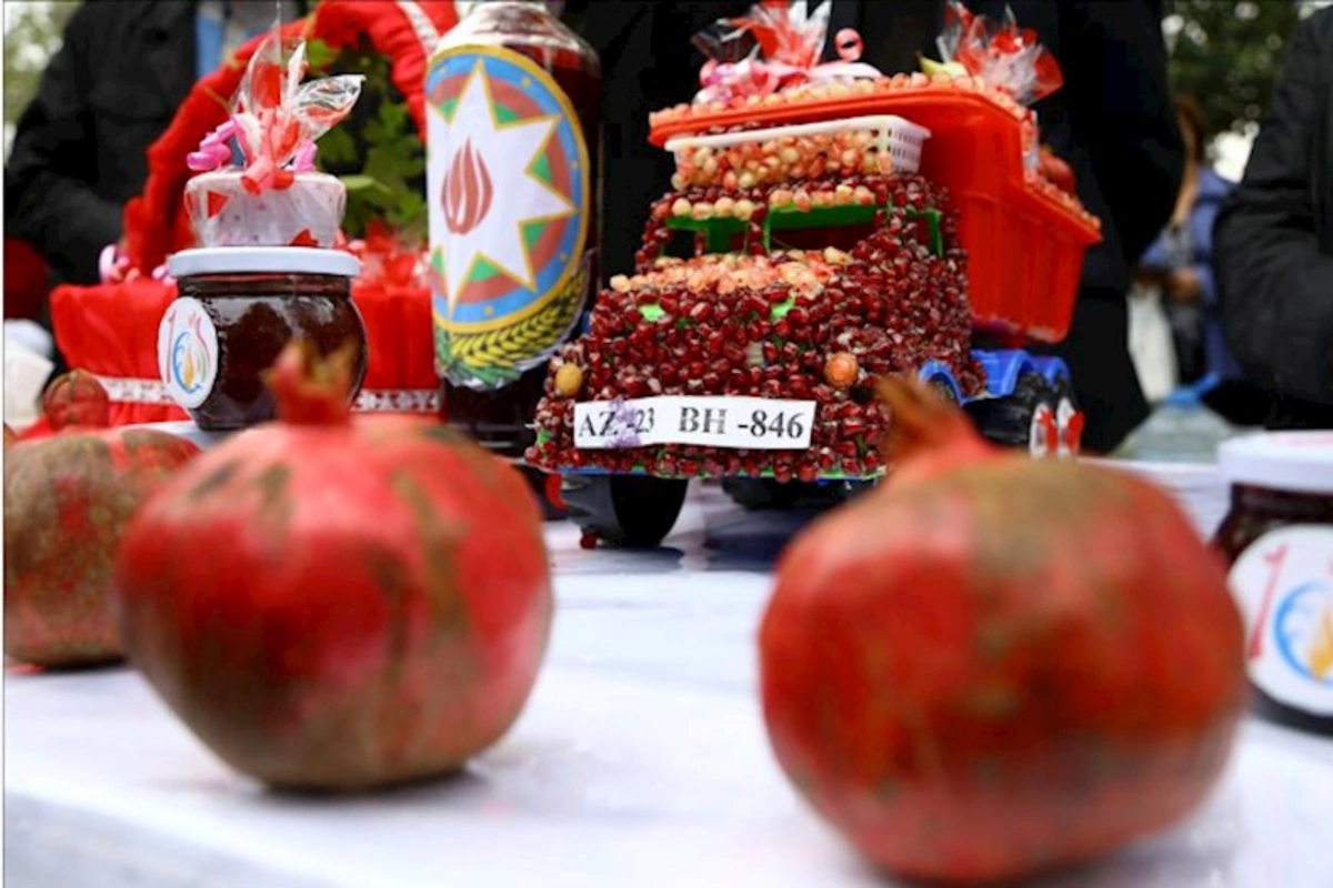 Məhsul festivalları formal olmamalıdır — Natiq Cəfərli