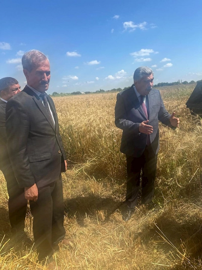İcra başçısı taxıl sahələrini gəzdi — FOTOLAR İcra başçısı taxıl sahələrini gəzdi — FOTOLAR