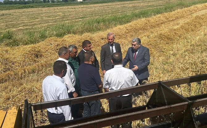 İcra başçısı taxıl sahələrini gəzdi — FOTOLAR İcra başçısı taxıl sahələrini gəzdi — FOTOLAR