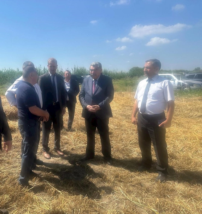 İcra başçısı taxıl sahələrini gəzdi — FOTOLAR İcra başçısı taxıl sahələrini gəzdi — FOTOLAR