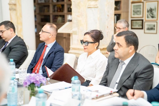 Vyanada Azərbaycanın xaricdəki mədəniyyət mərkəzlərinin yarımillik hesabat toplantısı keçirilib — FOTOLAR