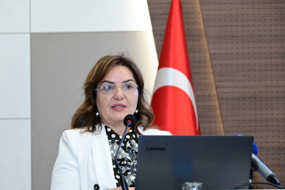 Aygün Attar Yekaterinburqdakı hadisə barədə: Rusiya dövlətinin əli ilə törədilib