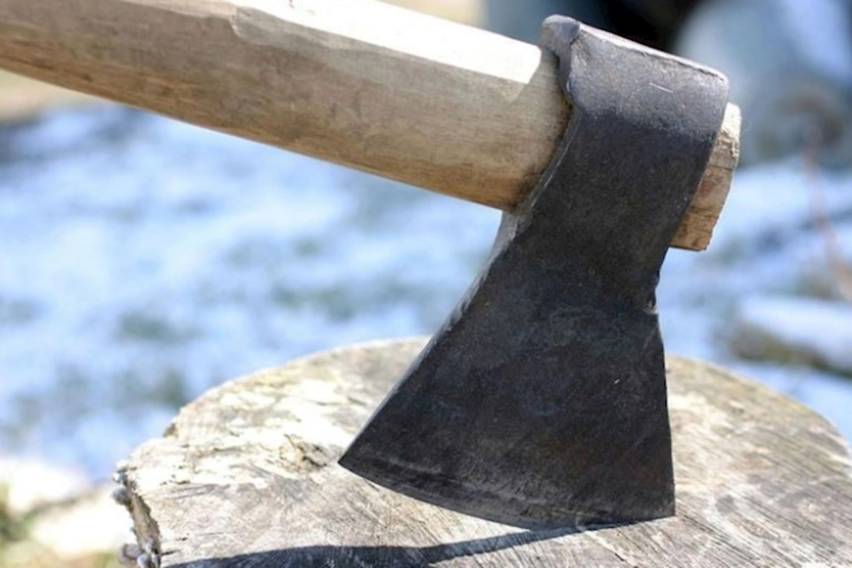 Atanın heyvanları qorxutmaq üçün atdığı balta oğlunun ölümünə səbəb olub