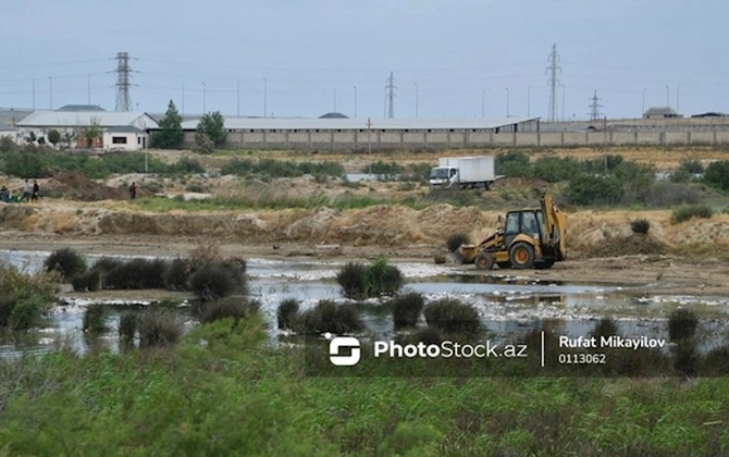 Abşeronda balıqların kütləvi tələf olduğu ərazidə son vəziyyət — FOTOLAR