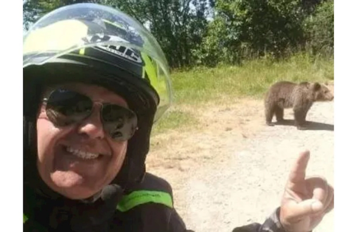 Ayı turist ilə selfi çəkdirdikdən sonra onu parçaladı