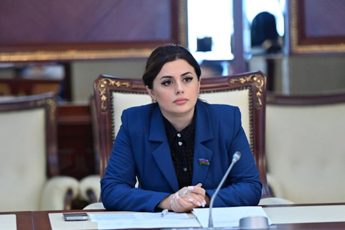 Bakı–Ankara tandemi həlledici gücə çevrilir — Deputat