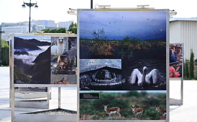 Leyla Əliyeva “Milli Parklar — Azərbaycanın 12 Möcüzəsi” fotosərgisinin açılışında (FOTOLAR) Leyla Əliyeva “Milli Parklar — Azərbaycanın 12 Möcüzəsi” fotosərgisinin açılışında (FOTOLAR)