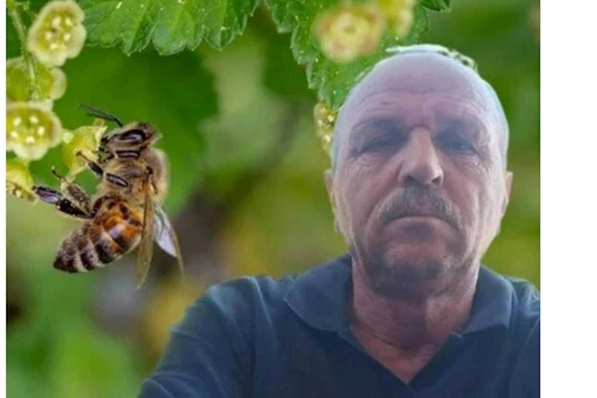 Arı sancan kişi öldü